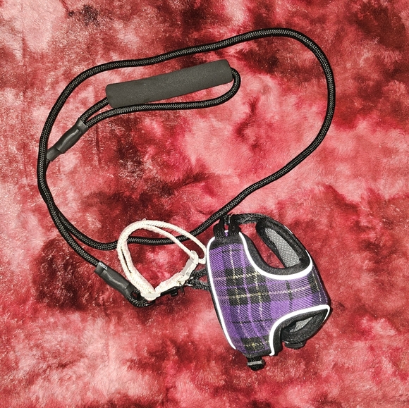 Other - ⚡️Plaid Purple Harness With Pink And White Collar And Black Leash